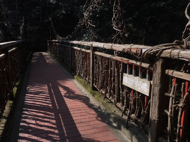イメージ 8