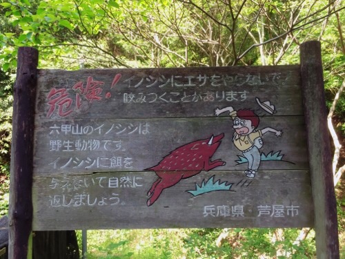 イメージ 7