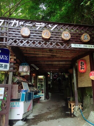 イメージ 10