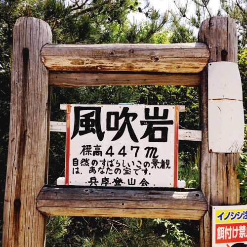イメージ 27