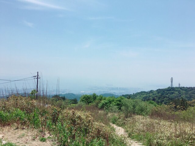 イメージ 13