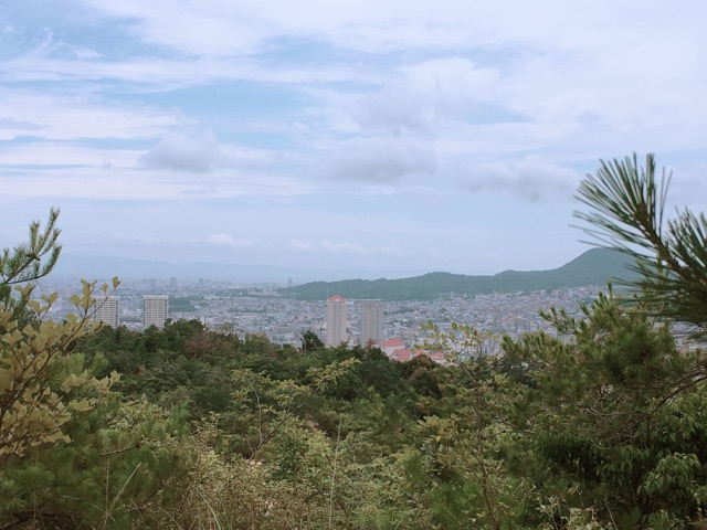 イメージ 13