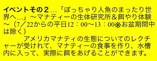 イメージ 13