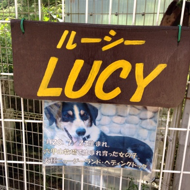 イメージ 12
