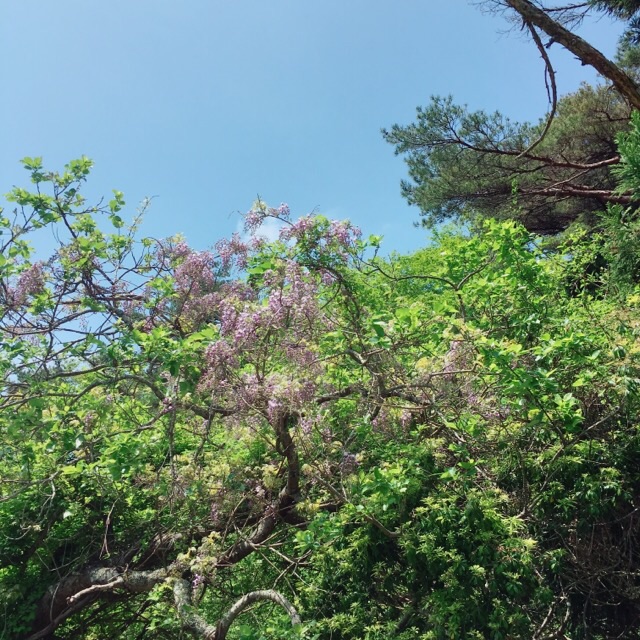 イメージ 4