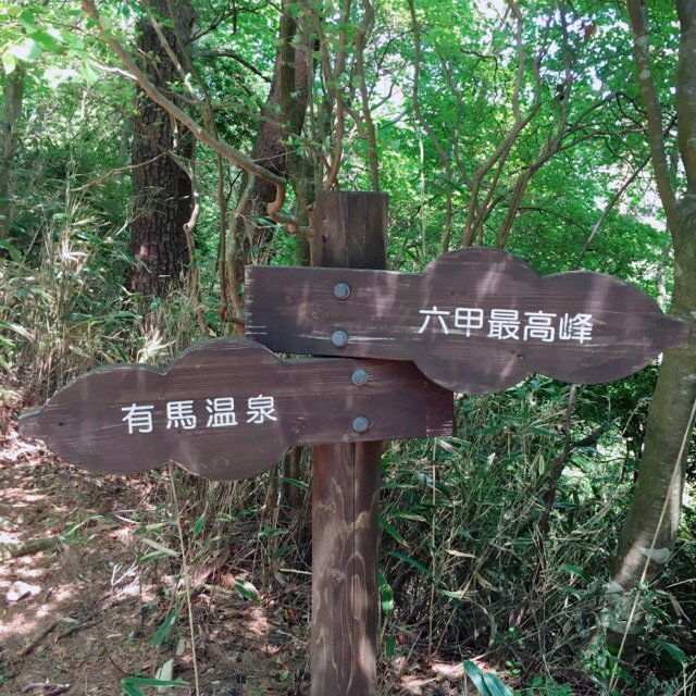 イメージ 6