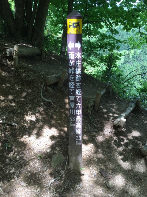 イメージ 5