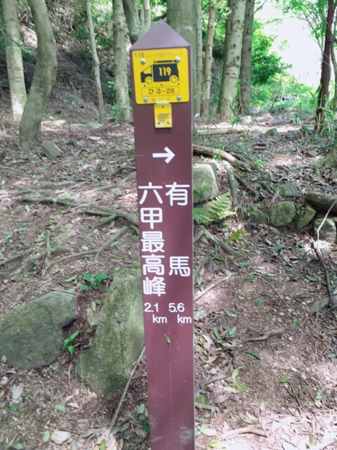 イメージ 11