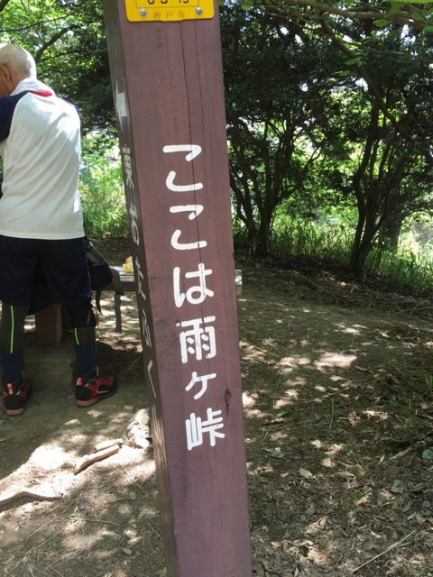 イメージ 16