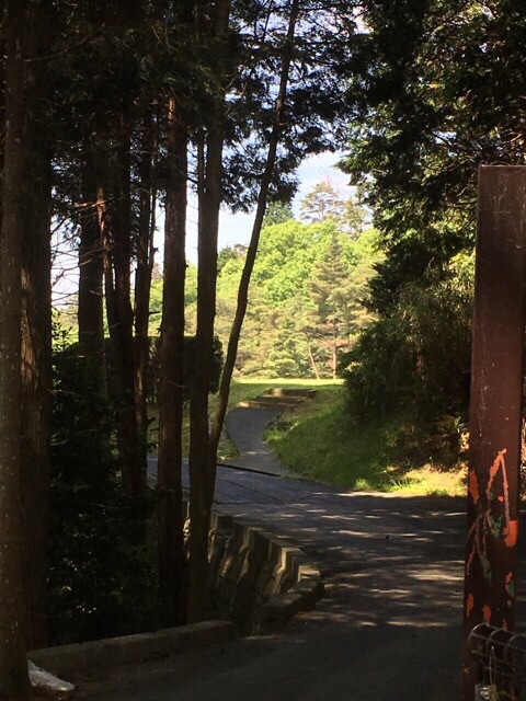 イメージ 18
