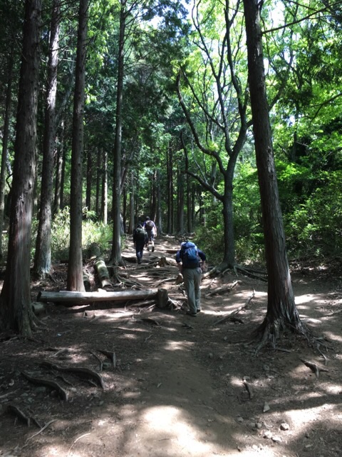 イメージ 3