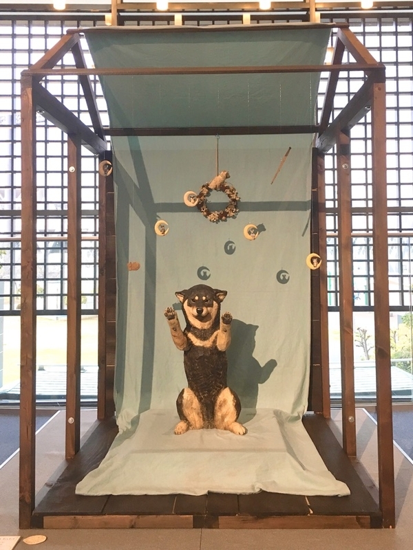 イメージ 7