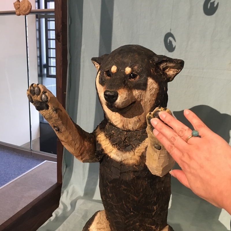 イメージ 9