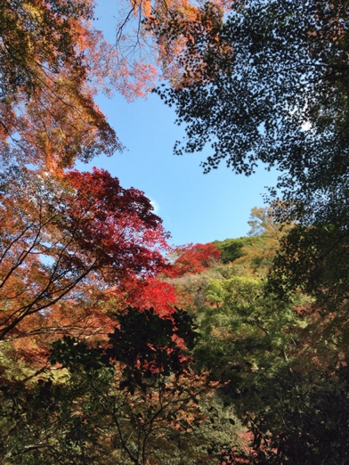 イメージ 3