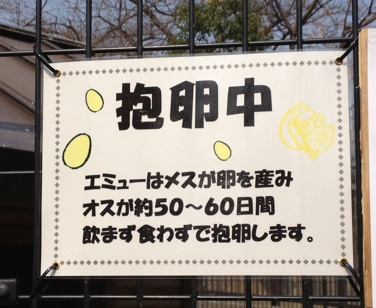 イメージ 14