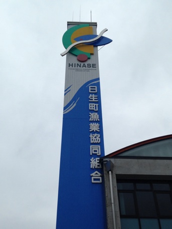 イメージ 6