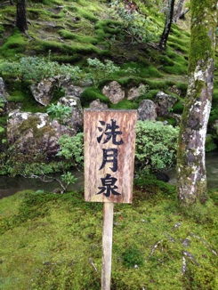 イメージ 12