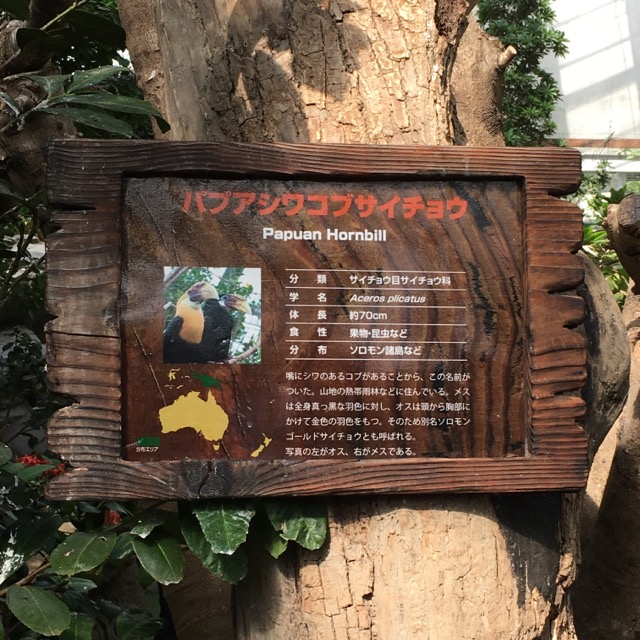 イメージ 16