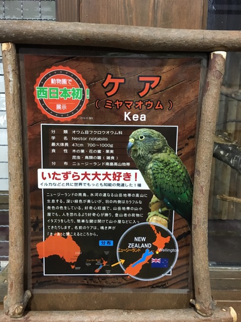 イメージ 5