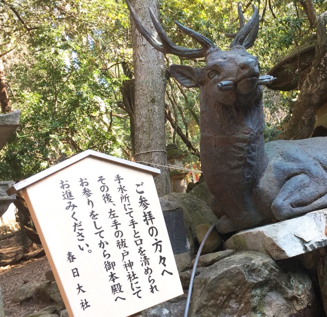 イメージ 11