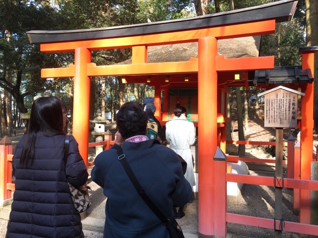 イメージ 12