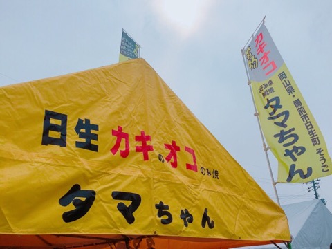 イメージ 11