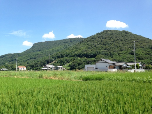 イメージ 6