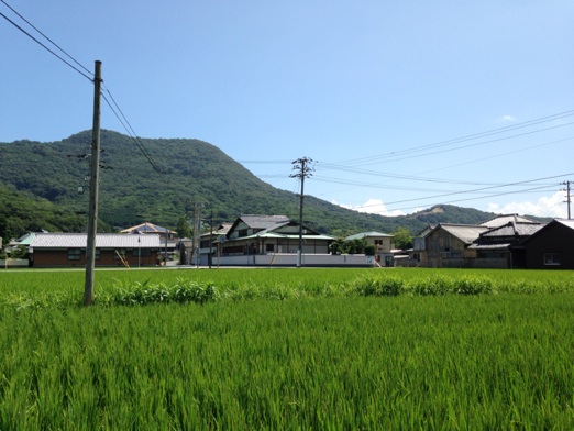 イメージ 7