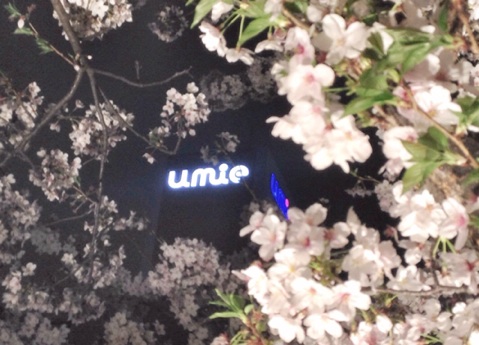 イメージ 14