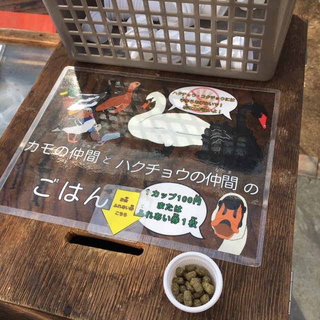 イメージ 14