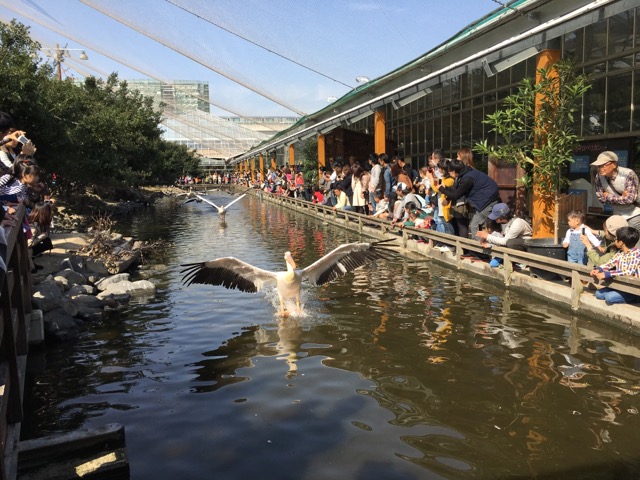 イメージ 21