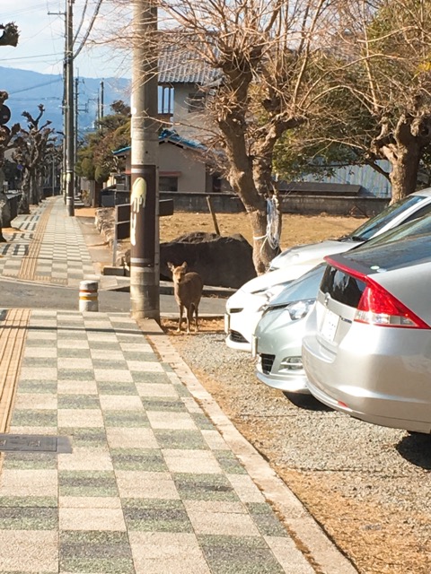 イメージ 3