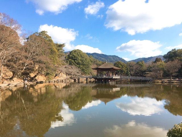 イメージ 5