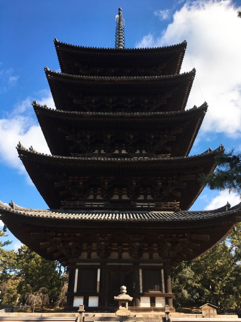 イメージ 7