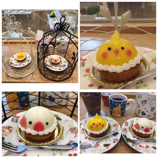 イメージ 6