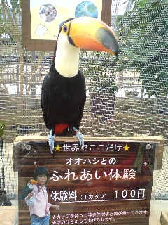 イメージ 13