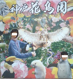 イメージ 24