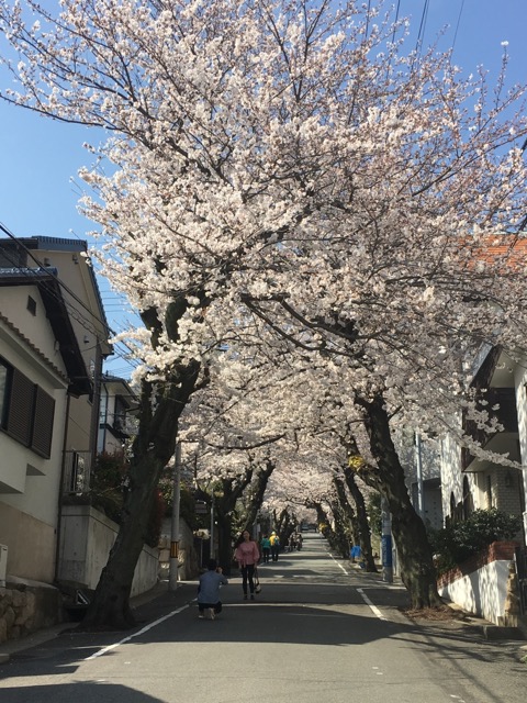 イメージ 16