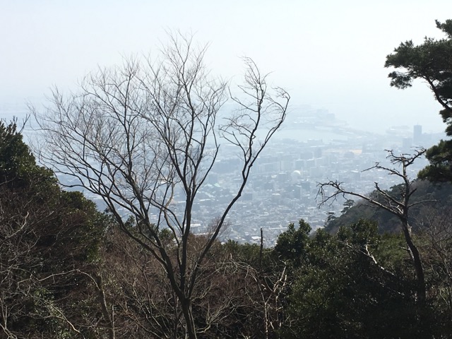 イメージ 7