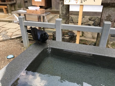 イメージ 11