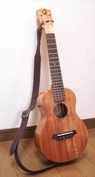 イメージ 5