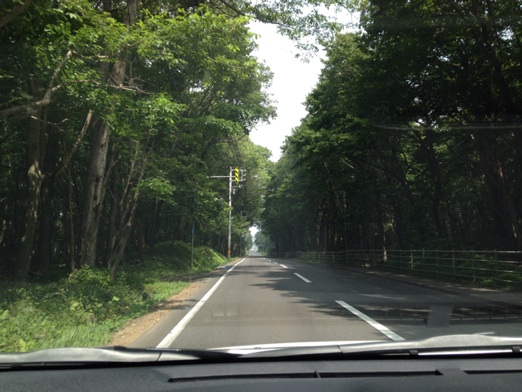 イメージ 15