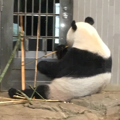 イメージ 7