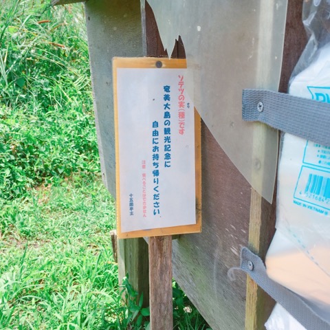 イメージ 7