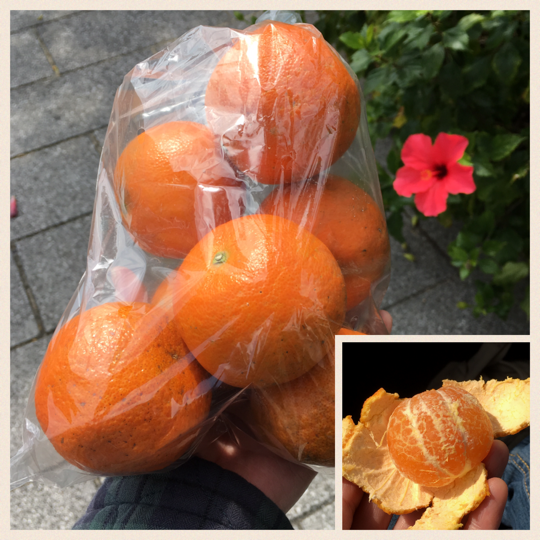 イメージ 3