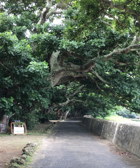 イメージ 7