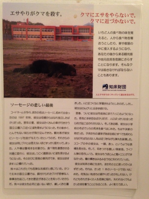 イメージ 10