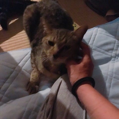 イメージ 6