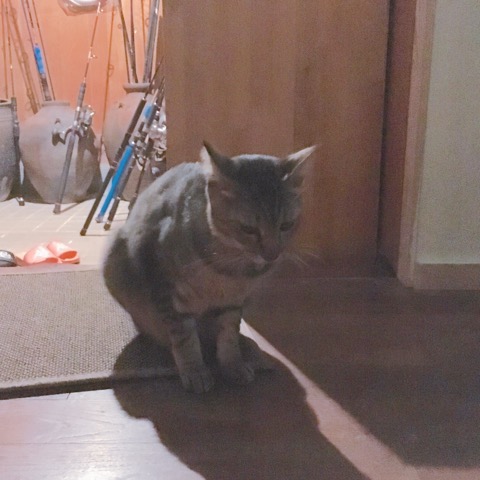イメージ 9