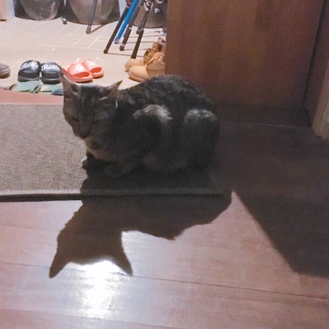 イメージ 10
